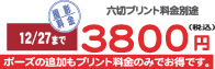 ���l���ʐ^�O�B�藿��