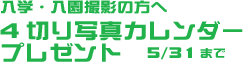 �ʐ^�J�����_�[�v���[���g